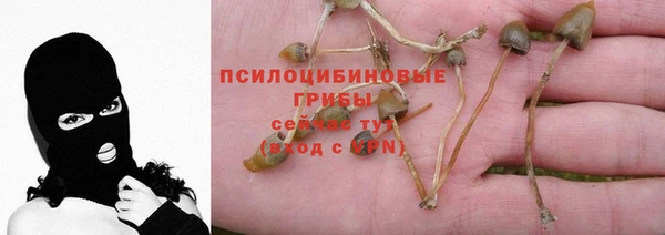 эйфоретик Алексин