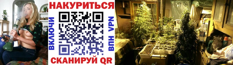 Шишки марихуана Amnesia  Заволжск 